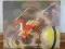 Hawkwind "Hall Of the Mountain Grill" LP