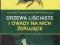 DRZEWA LIŚCIASTE I OWADY NA NICH ŻERUJĄCE - NOWA