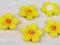 KWIATKI Z MASY ŻÓŁTE- 5 SZT. ŚR.2,2CM ELBLĄG
