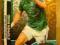 KARTA PANINI ADRENALYN EURO 2012 S.WARD IRLANDIA