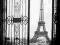 Paryż Widok na Wieżę Eiffle - plakat 61x91,5cm