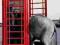 Londyn Słoń w czerwonej Budce - plakat 61x91,5cm