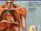 ATLAS OF ANATOMY - WYD.ANGIELSKIE - 2010 -OKAZJA #