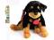 Maskotka Pies szczeniak ROTTWEILER 30 cm /7505/