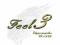 FEEL: FEEL 3 CD+DVD EDYCJA SPECJALNA