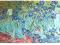RAVEN. 1000 EL. Van Gogh, Irysy PUZZLE
