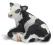 SCHLEICH CIELĘ RASY HOLSTEIN new 2009