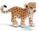 SCHLEICH MAŁY LEOPARD new 2009