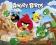 Angry Birds Destroy - plakat 50x40 m