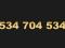 ZŁOTY NUMER______ 534 - 704 - 534 _____FIRMA FV23%