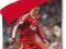 Pościel FC Liverpool - FernandoTorres 140x200 cm