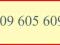 609 605 609  ZŁOTY PLATYOWY NUMER FIRMA!  FAKTURA!