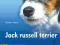 Jack Russell Terrier Dorothea Penizek -NOWA