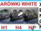 H4 WHITE białe ŻARÓWKI efekt XENON kpl HID BEMOWO