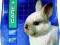 BEAPHAR Care+ Rabbit junior 250g pokarm dla królik