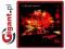 Everyday Cinematic Orchestra The 1 Cd