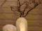 Manzanita gałąź 100cm, wazon, flakon