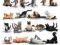 Yoga Cats - plakat 61x91,5cm