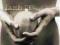 AA83E LAMB BETWEEN DARKNESS AND WONDER  (CD)