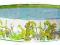 Basen rozporowy Safarii 180 x 38 cm + GRATIS !!!