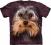 THE MOUNTAIN 2012 - Yorkshire Terrier Face @ S