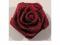 MEGA DUŻE  atłasowe róże- bordowe    MM-11