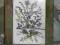 ART7>!!! OKAZJA UNIKALNY OBRAZEK 33 X 25 CM