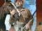 Winnetou i Old Surehand DVD FOLIA