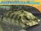DRAGON Jagdpanzer IV L48 Early