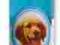 BENEK PERFUMY LOVELY PET BEBE SPRAY 125ML