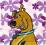 Ręczniczek ręcznik dla dzieci 30x30 SCOOBY-DOO