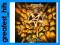 greatest_hits ANTHRAX: WORSHIP MUSIC (2WINYL)