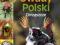 Owady Polski Chrząszcze + DVD - - KONIN, Nowa !