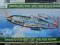 Ki-61 Hien (Tony) 244th FR   1/72 Hasegawa Unikat!