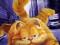 1 Garfield DVD prawa do wypożyczania