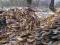 okorki zrzyny obrzyny drewno opałowe transport