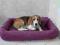 ELEGANCKIE LEGOWISKO DLA PSA! 70x80cm   KOLORY
