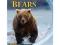 IMAX  Niedzwiedzie / Bears  [Blu-ray]