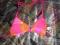 Cudne bikini neonowe GEORGE rozm 42