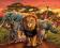 Zwierzęta Afryki - plakat 50x40 cm