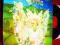BARCLAY JAMES HARVEST - OCTOBERON LP /c314