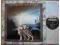 ANANTA-NIGHT AND DAYDREAM.[ORIGINAŁ ANG.PROMO]