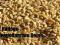 PSZENŻYTO jak pszenica KARMA DLA PTAKÓW -producent