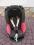MAXI COSI TOBI fotelik ssmochodowy 9-18kg