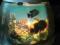 AKWARIUM Z PRL - SUPER OZDOBA - OKAZJA ***
