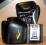 RĘKAWICE BOKS PRO STYLE 2700 - 10oz EVERLAST