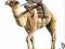 Hadendowa Camelry - HaT - 1:72 - 8208