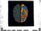 Naszywka BRAIN