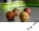 Tandem Baits Impact Boilies 18mm/1kg Wan. - Śmiet.