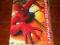 SPIDER-MAN - film na DVD